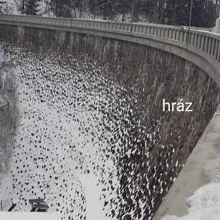 Apartmanova Secanda S Bazenem, U Secske Prehrady Dom wakacyjny *