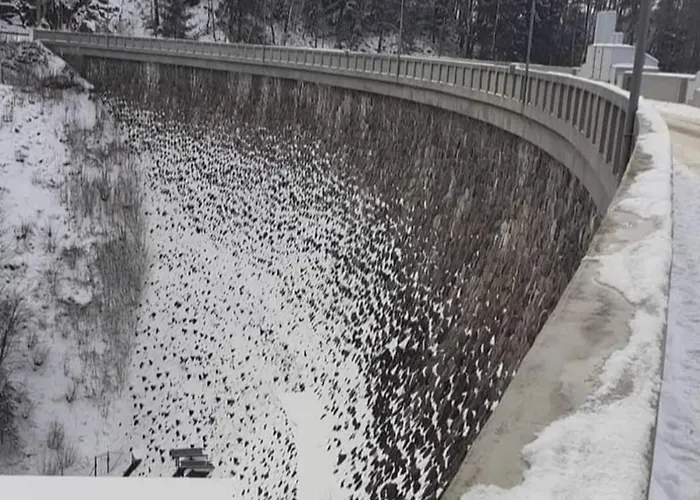 Apartmánová Sečanda S Bazénem, U Sečské Přehrady *