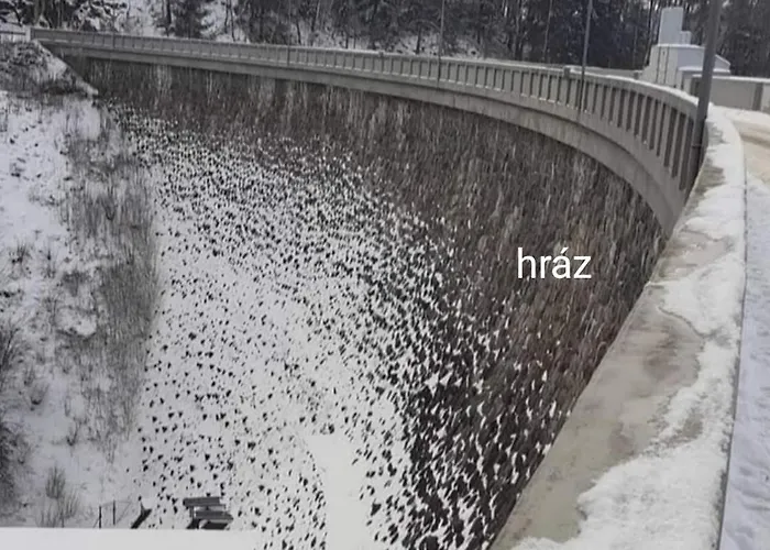 Apartmánová Sečanda S Bazénem, U Sečské Přehrady Prázdninový dům *